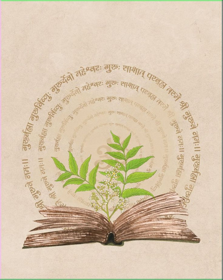 Manuscrito védico